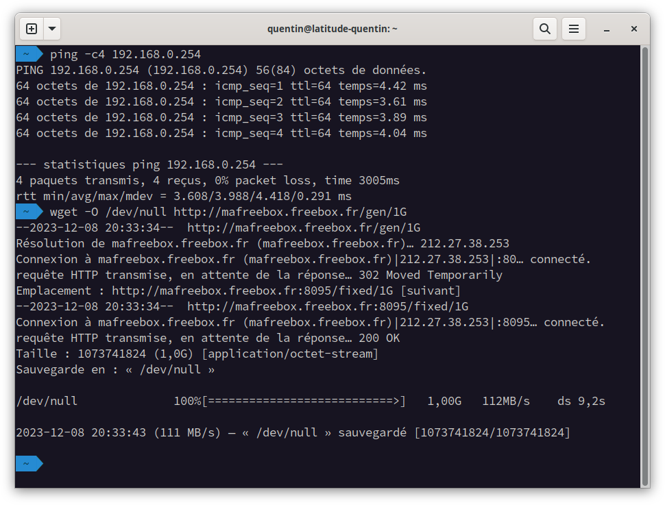 Capture d&rsquo;écran montrant un terminal avec des retours des commandes ping et wget